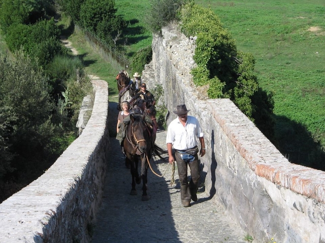  caminar en las paredes 